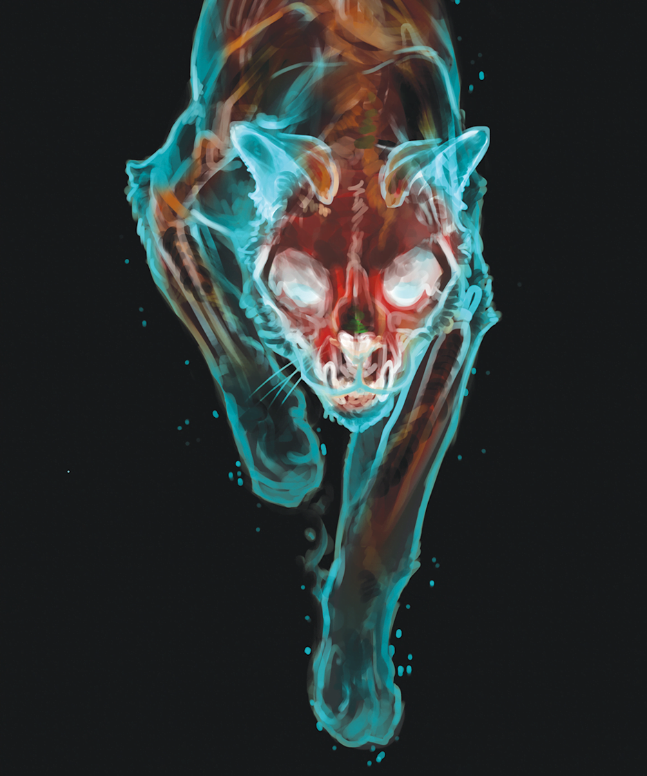 Ghost Cat